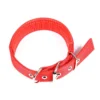 Nylon Collar for Dogs and Cats