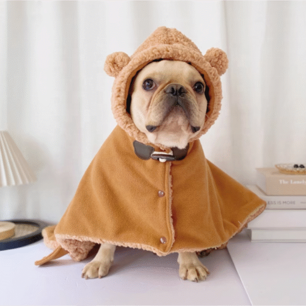 Luxury Modern Cotton Pet Clothes Puppy and Cat Apparel for Autumn Winter Dog Cloth
