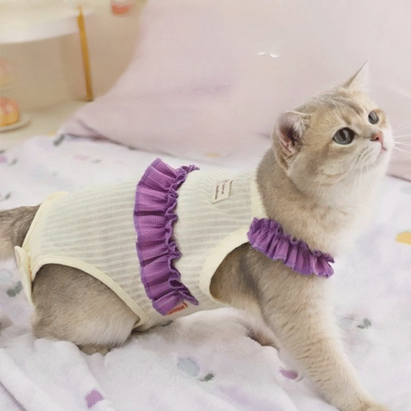 H3f32bc7d7b134a08bc89c05fda6c76ddx.png Pet Clothes Comfortable Cotton Pet Cat Cloth Pet Supplies Eco-friendly