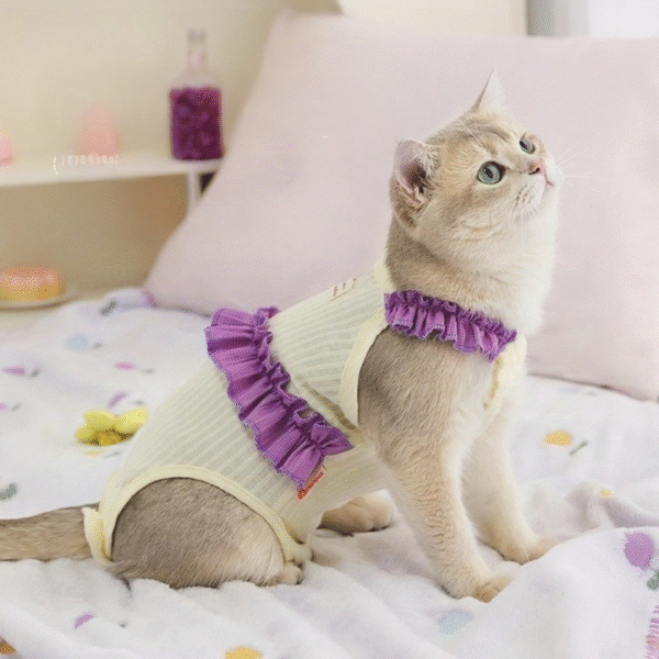 H50977f49d908409c96c59f20086231f5Q.png Pet Clothes Comfortable Cotton Pet Cat Cloth Pet Supplies Eco-friendly