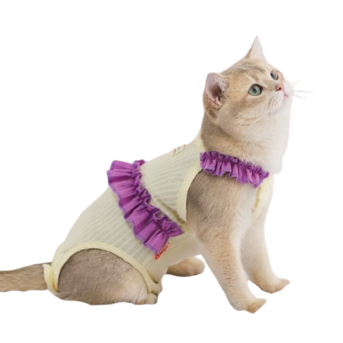 H66521a53fbb14d9bb11212253ef3dae80.png Pet Clothes Comfortable Cotton Pet Cat Cloth Pet Supplies Eco-friendly