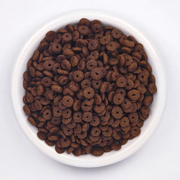 WILDBEST Balanced Nutrition, Protect Intestines High Protein Dry Food for Cats 2KG