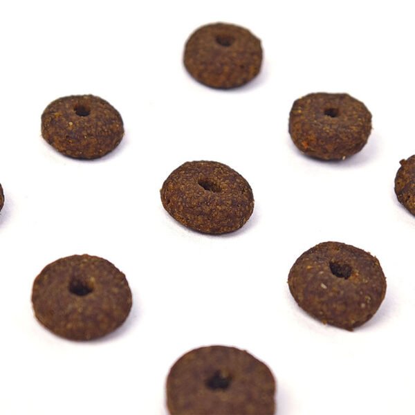 WILDBEST Balanced Nutrition, Protect Intestines High Protein Dry Food for Cats 2KG