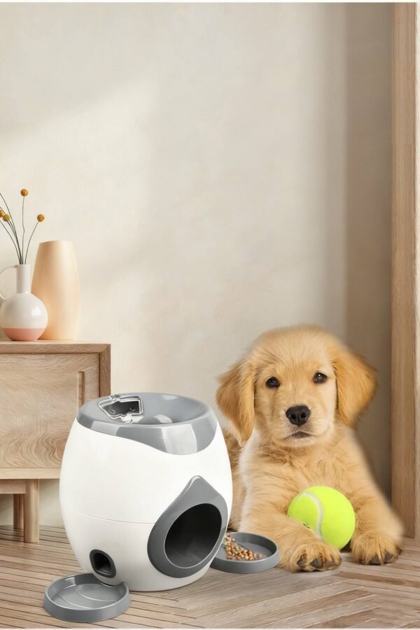 Game for Cats Interactive Movement Toy