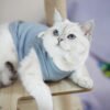 Newest Summer Pet Supplies Cat Accessories Pet Clothes Cat Dress Cute Pet Clothing Sphynx Cat Clothes