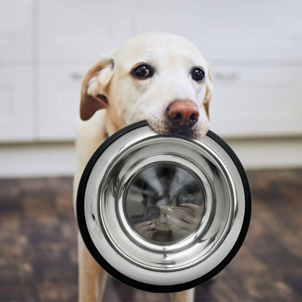 Large Capacity and Durability Water Feeding Bowl Outdoor Pet Bowl Cat and Dog Bowl 300ML