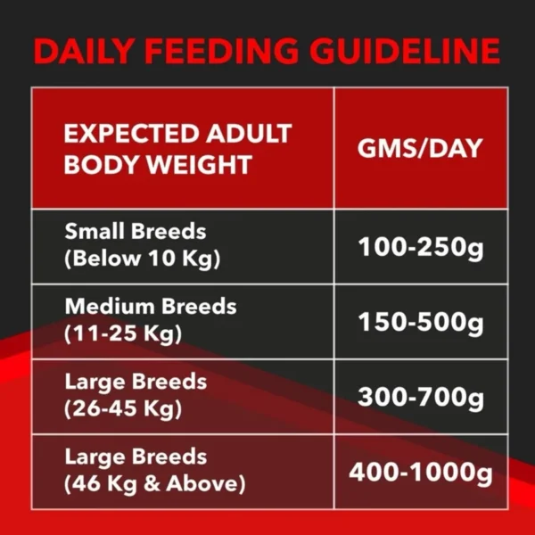 Drools Focus Super Premium Dry Dog Food 100G (Puppy)